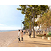 Concurso de mejora del tramo central del Paseo Marítimo de Platja d'Aro